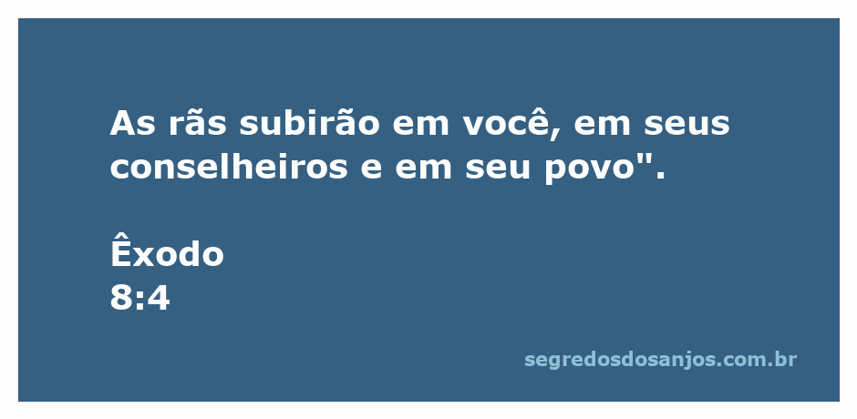 Imagem ilustrativa da praga das rãs conforme descrito em Êxodo 8:4.