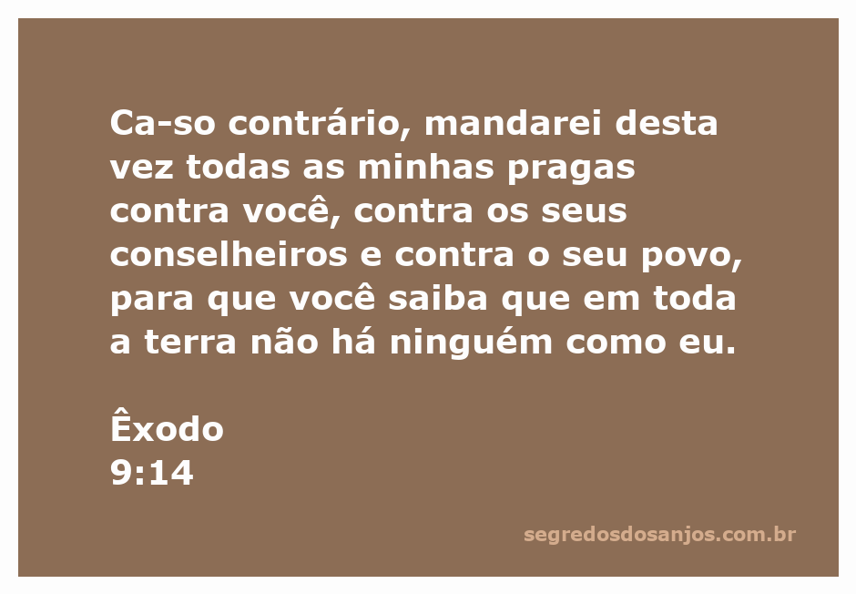 Ilustração do versículo Êxodo 9:14, destacando a mensagem de advertência de Deus sobre suas pragas.