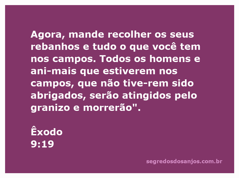 Imagem representando o aviso de Deus sobre o granizo que afetará rebanhos e pessoas nos campos, conforme Êxodo 9:19.