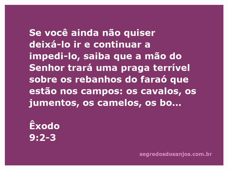 Imagem representativa da praga sobre os rebanhos do faraó em Êxodo 9:2-3, mostrando animais como cavalos, jumentos e ovelhas em um campo.