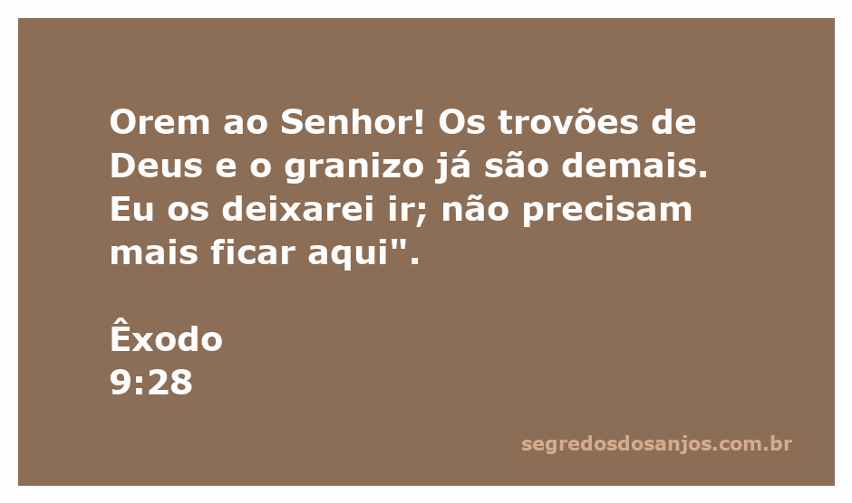 Uma representação visual de Êxodo 9:28, destacando a súplica ao Senhor em meio a trovões e granizo.