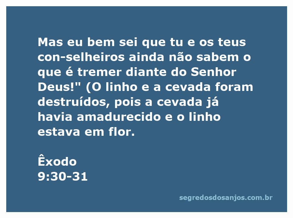Ilustração da destruição da colheita de linho e cevada conforme descrito em Êxodo 9:30-31, simbolizando a ira de Deus sobre o Egito.