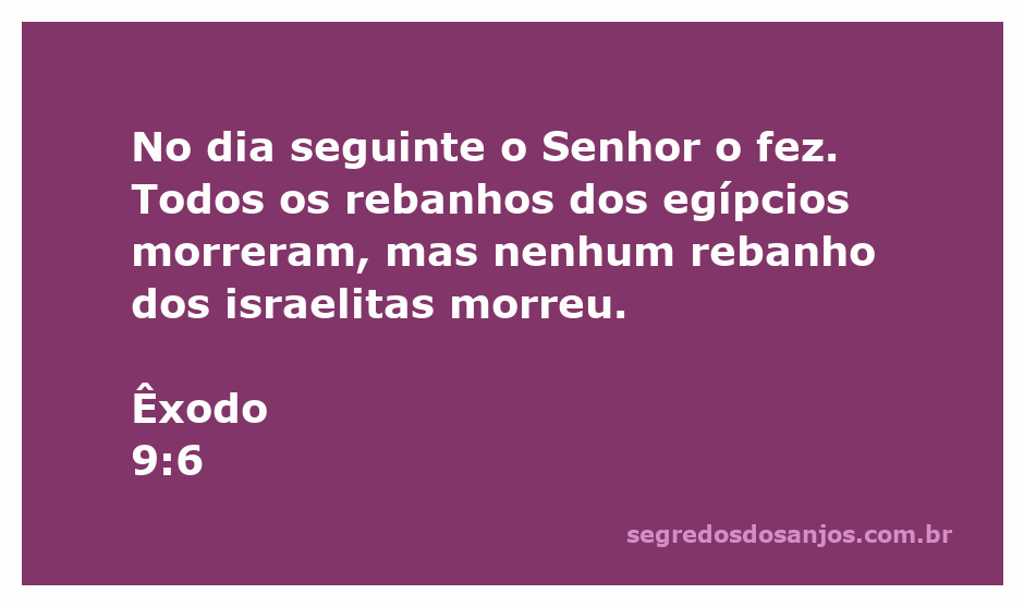 Representação visual da praga que atingiu os rebanhos egípcios, com destaque para a proteção divina sobre os rebanhos israelitas.