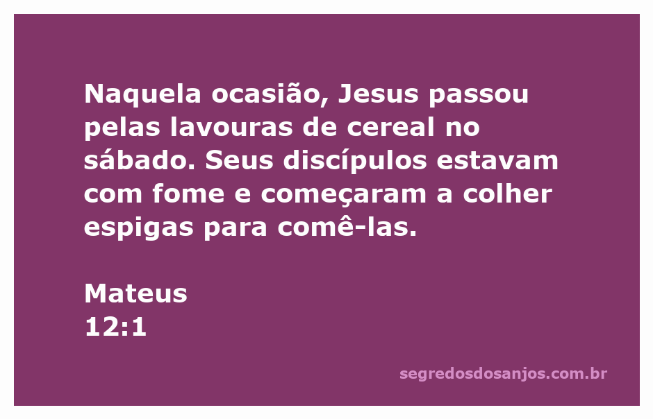 Jesus e seus discípulos colhendo espigas de cereal em um sábado.