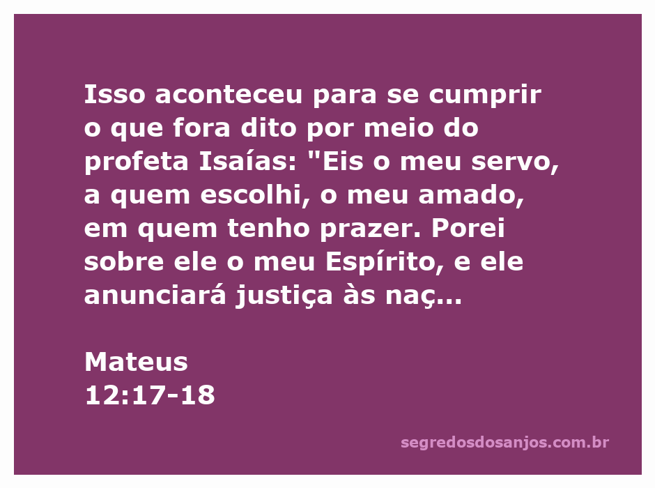 Imagem representativa do versículo Mateus 12:17-18, destacando o servo escolhido por Deus.