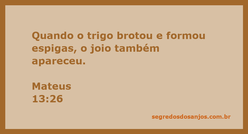 Imagem representativa da parábola do trigo e joio, mostrando espigas de trigo e joio crescendo lado a lado.
