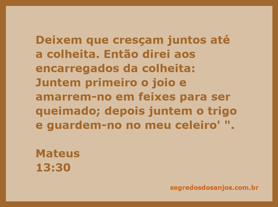 Ilustração da parábola do joio e do trigo, representando a separação do bem e do mal na colheita.