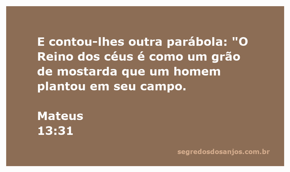 Imagem de um grão de mostarda representando o crescimento do Reino dos céus