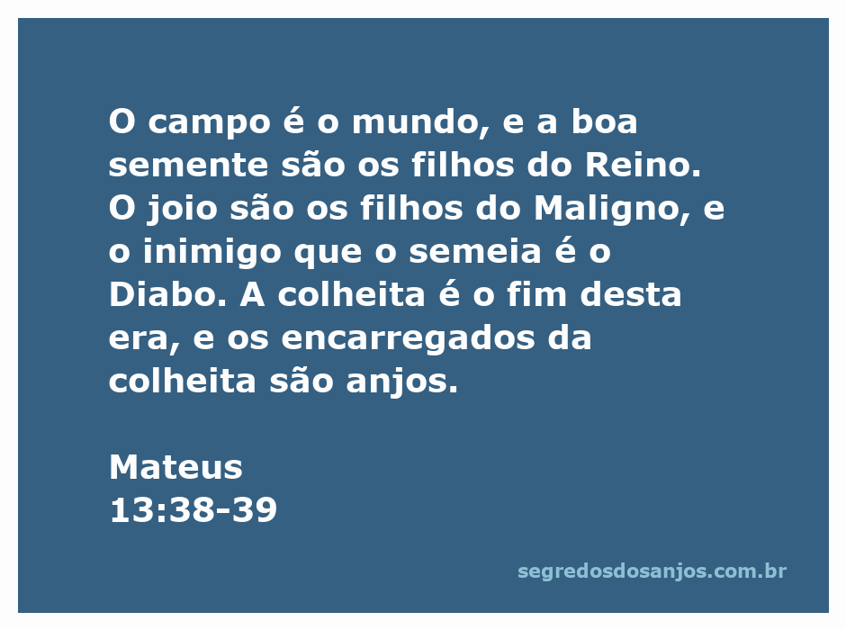 Ilustração do versículo Mateus 13:38-39, mostrando a separação entre a boa semente e o joio no campo do mundo.