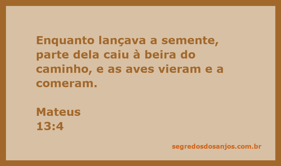 Sementes caindo à beira do caminho com aves ao fundo.