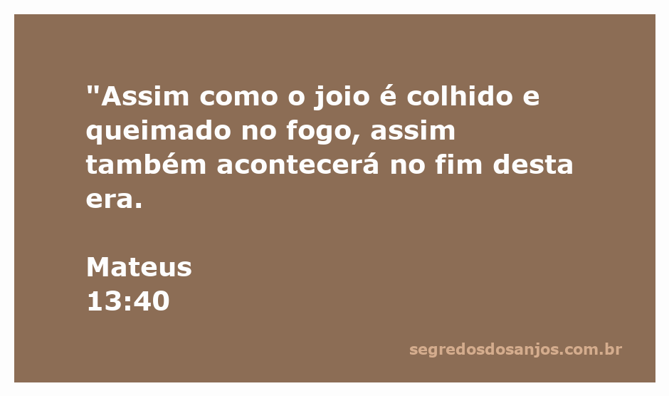 Imagem ilustrativa de joio sendo colhido e queimado, simbolizando a separação entre o bom e o mau.