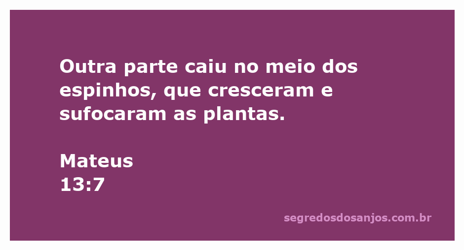 Imagem representando a parábola do semeador, com plantas sendo sufocadas por espinhos.