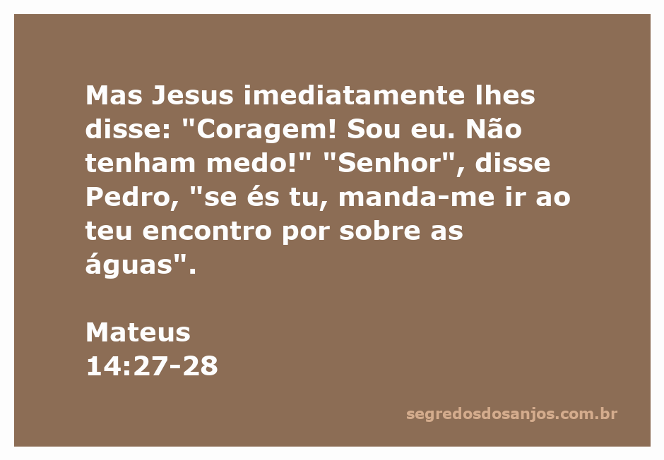 Jesus conforta os discípulos enquanto Pedro caminha sobre as águas.