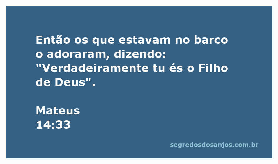Imagem de discípulos adorando Jesus após um milagre no mar, representando Mateus 14:33.