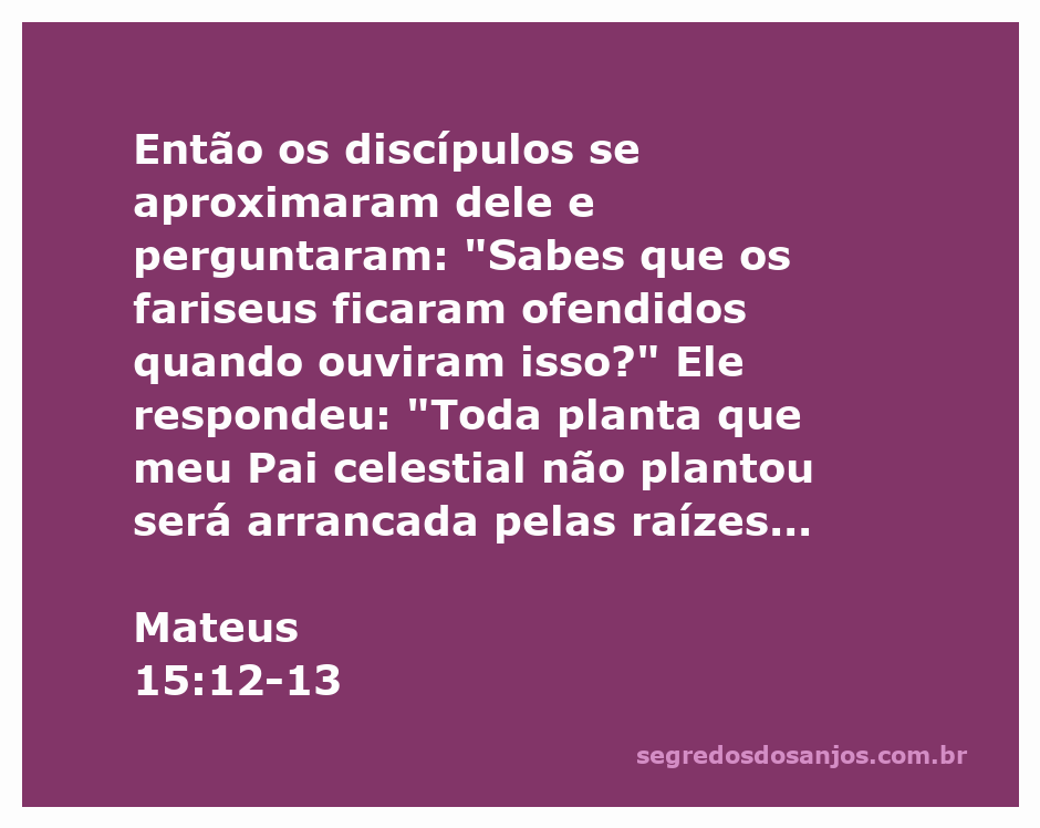 Ilustração de Mateus 15:12-13, mostrando os discípulos questionando Jesus sobre os fariseus.