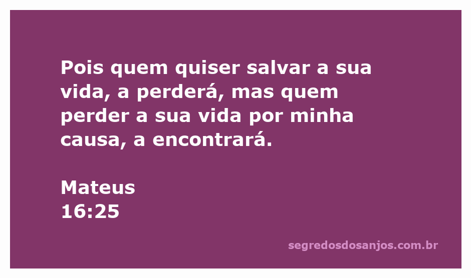 Ilustração do versículo Mateus 16:25, enfatizando a ideia de perder a vida por causa de Jesus para encontrá-la.