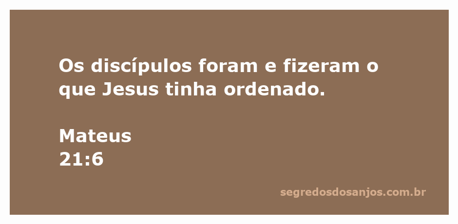Discípulos obedecendo a ordem de Jesus em Mateus 21:6
