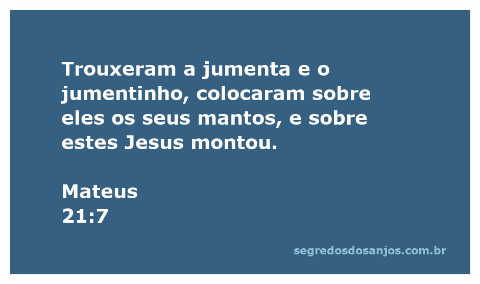 Imagem de Jesus montando em uma jumenta e um jumentinho, rodeado por pessoas que colocam mantos sobre os animais.