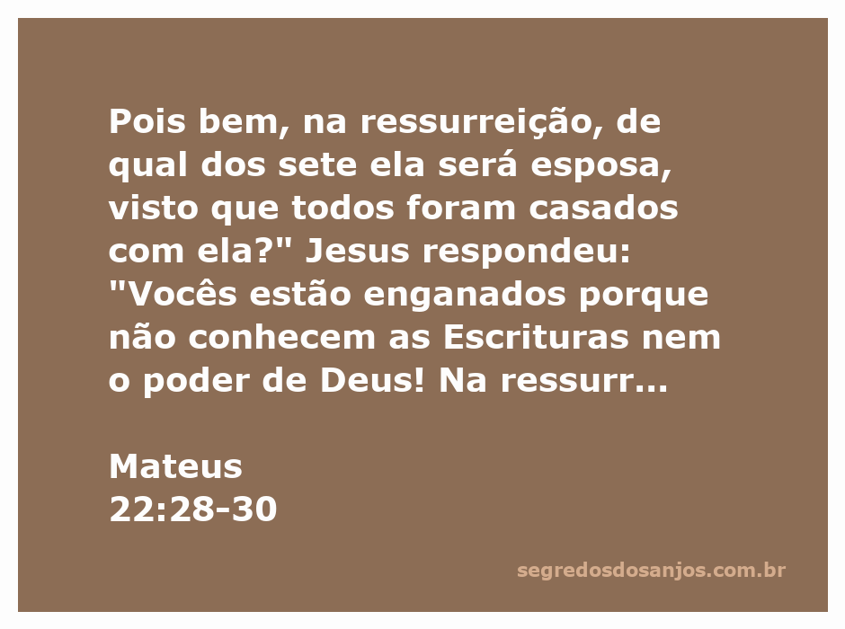 Ilustração representando a discussão sobre a ressurreição entre Jesus e os fariseus, com ênfase na passagem de Mateus 22:28-30.
