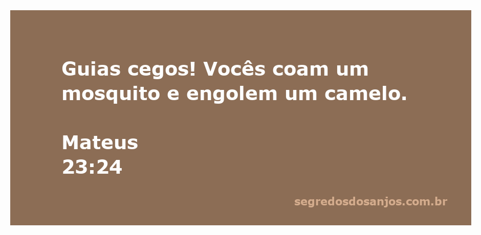 Imagem ilustrativa do versículo Mateus 23:24, mostrando guias cegos tentando coar um mosquito enquanto um camelo é engolido.