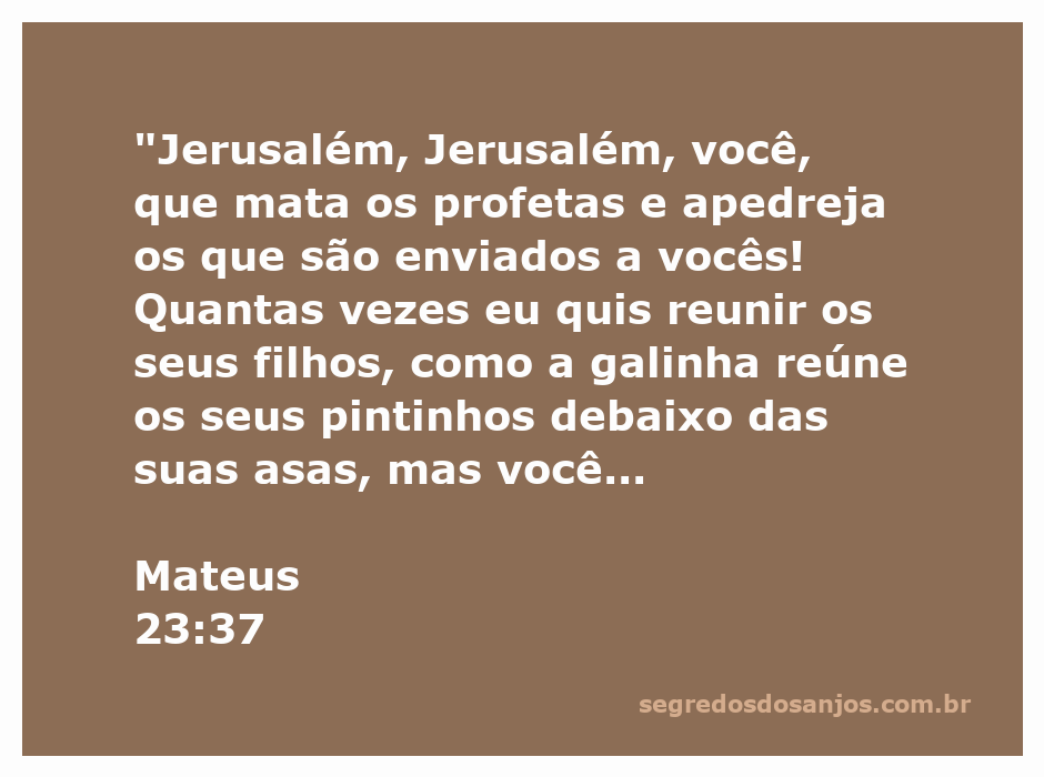 Ilustração de Jesus lamentando sobre Jerusalém, simbolizando seu desejo de proteger e reunir seu povo.