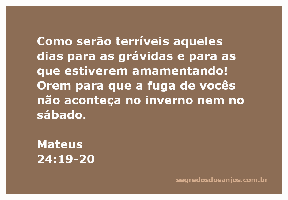 Uma mulher grávida olhando preocupada para um horizonte tempestuoso, simbolizando os desafios e dificuldades mencionados em Mateus 24:19-20.