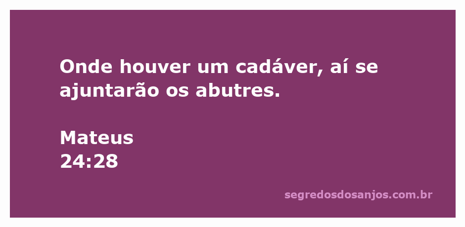 Imagem ilustrativa de abutres se reunindo ao redor de um cadáver, simbolizando a passagem bíblica de Mateus 24:28.