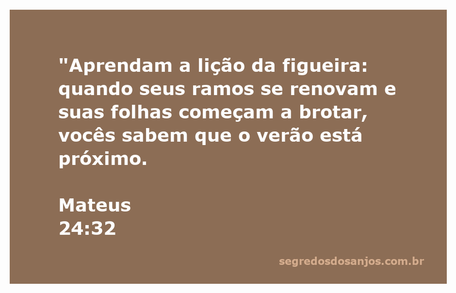 Ilustração de uma figueira com ramos renovados e folhas brotando, simbolizando a chegada do verão.