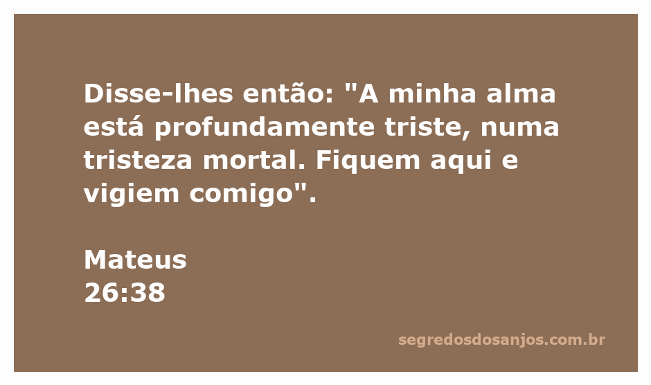 Jesus expressa sua tristeza profunda no Jardim do Getsêmani, pedindo aos discípulos que vigiassem com Ele.