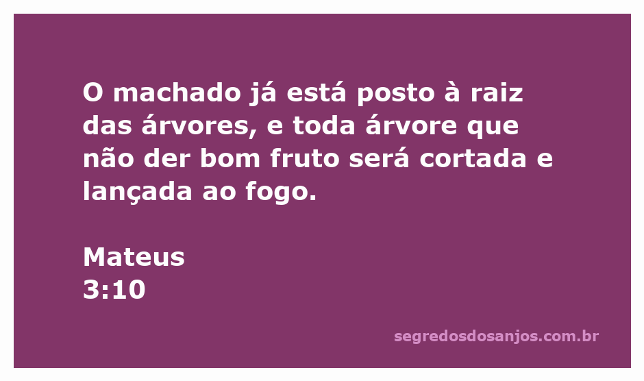 Imagem representando o versículo Mateus 3:10, com um machado próximo à raiz de uma árvore.