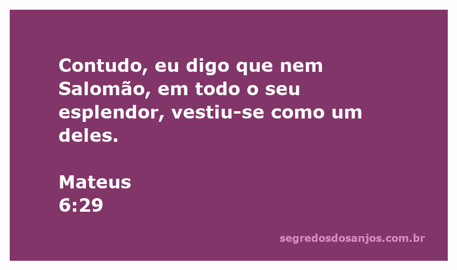 Imagem representando a riqueza e esplendor de Salomão, com foco em sua vestimenta luxuosa.