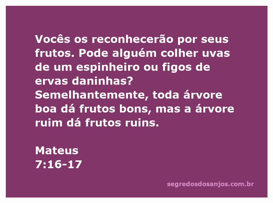 Imagem ilustrativa de árvores frutíferas, simbolizando a passagem de Mateus 7:16-17 sobre reconhecer os frutos das árvores.