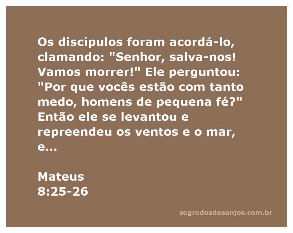 Jesus acalmando a tempestade enquanto os discípulos estão com medo no barco.