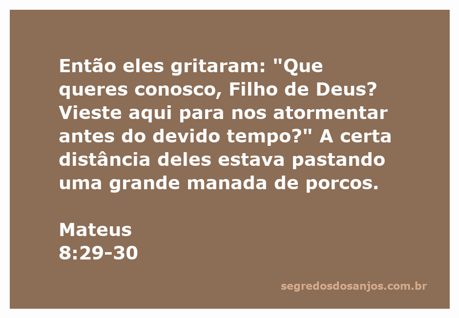 Imagem de uma cena bíblica com Jesus e uma manada de porcos, representando a passagem de Mateus 8:29-30.