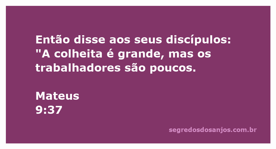 Disípulos olhando para um vasto campo pronto para a colheita, simbolizando a necessidade de trabalhadores na seara.