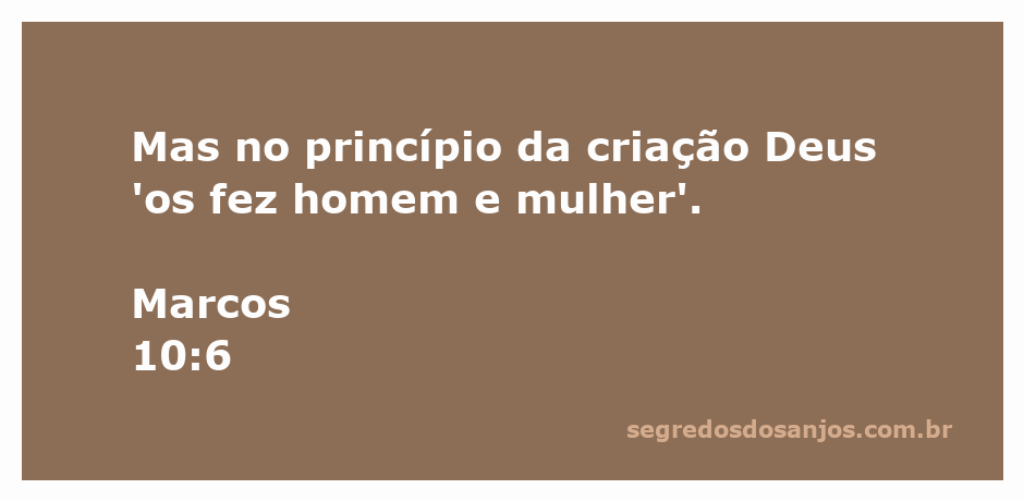 Ilustração de homem e mulher simbolizando a criação divina conforme Marcos 10:6.