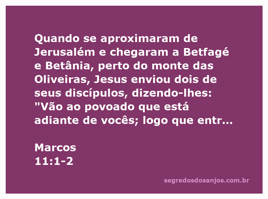 Jesus envia seus discípulos para buscar um jumentinho em Betfagé, próximo a Jerusalém.