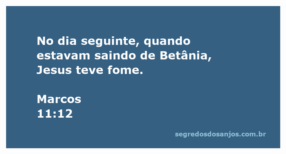 Jesus caminhando em direção a Betânia, refletindo sobre sua fome.