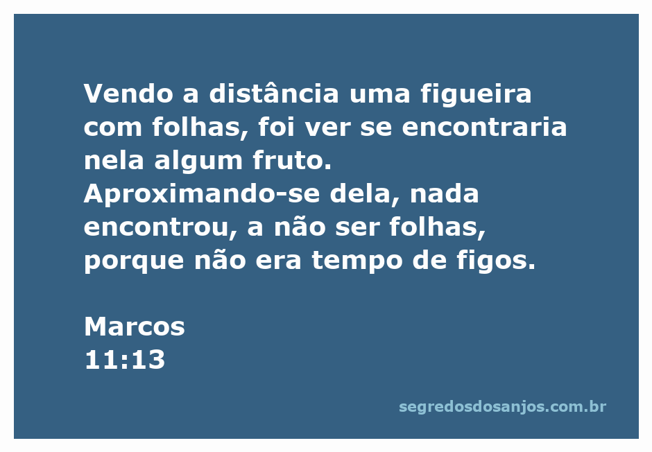 Ilustração de uma figueira com folhas, representando a passagem de Marcos 11:13 na Bíblia.