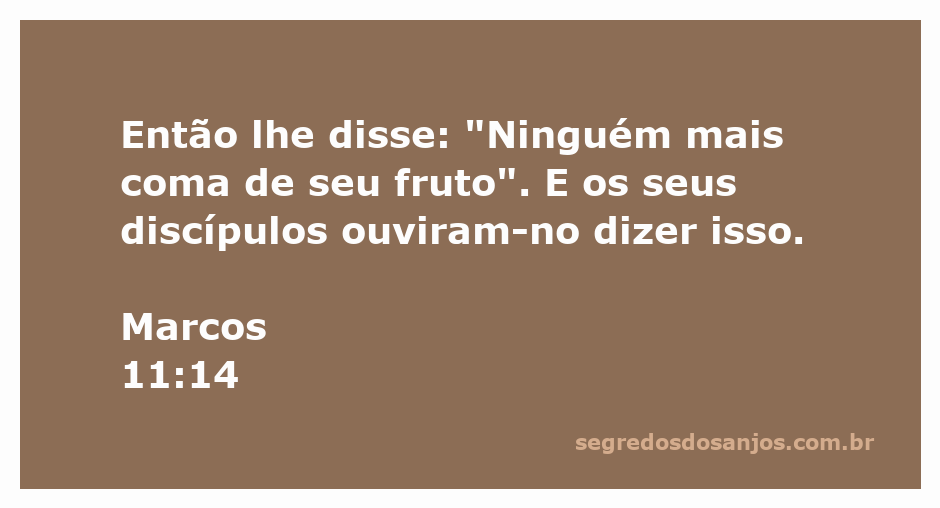 Jesus declara que ninguém mais comerá do fruto da figueira, conforme Marcos 11:14.