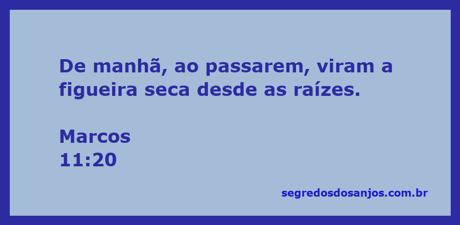 Imagem de uma figueira seca, simbolizando a passagem bíblica de Marcos 11:20.