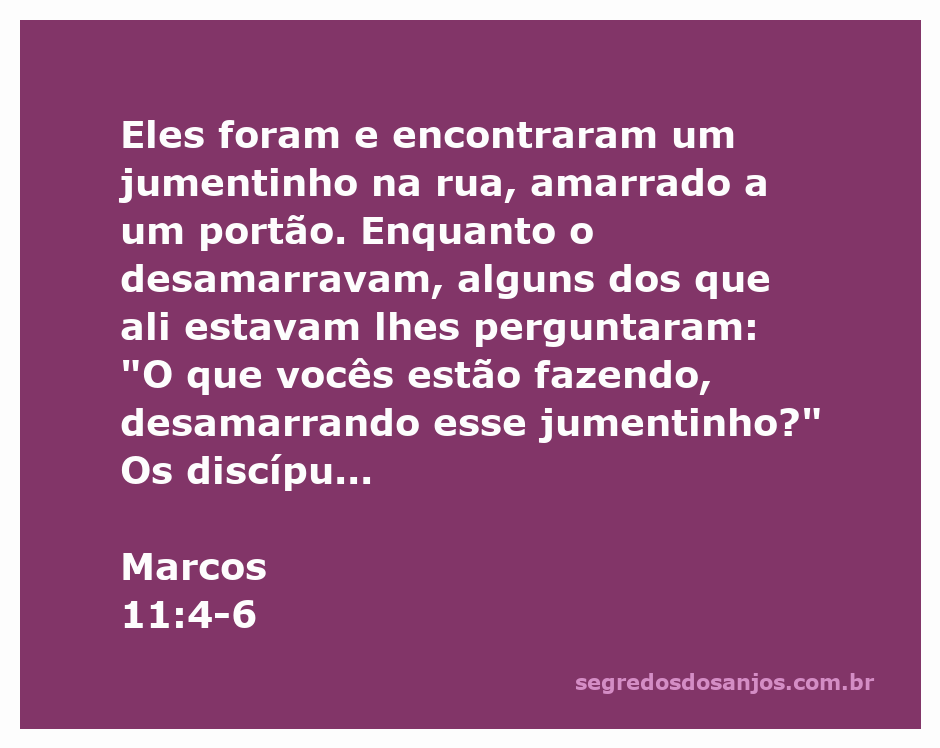 Discípulos desamarrando um jumentinho conforme instruções de Jesus.
