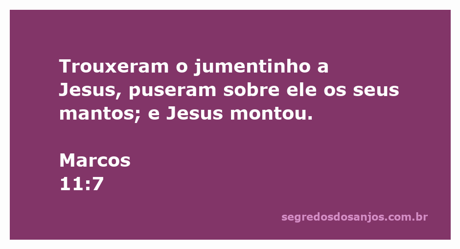 Jesus montando em um jumentinho com mantos colocados sobre ele.