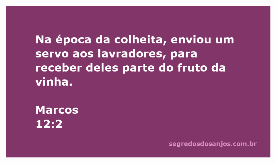 Servo enviado pelo proprietário da vinha para coletar os frutos da colheita.