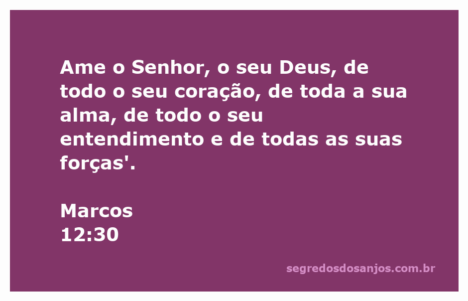Ilustração do versículo Marcos 12:30 que fala sobre amar a Deus com todo o coração, alma, entendimento e forças.