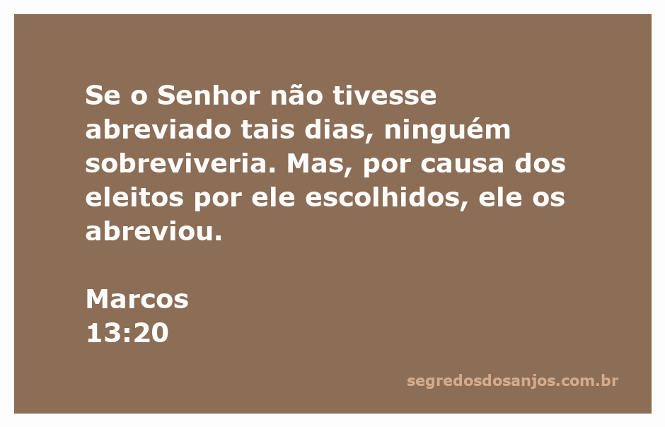 Imagem representativa do versículo Marcos 13:20, destacando a proteção divina sobre os eleitos.