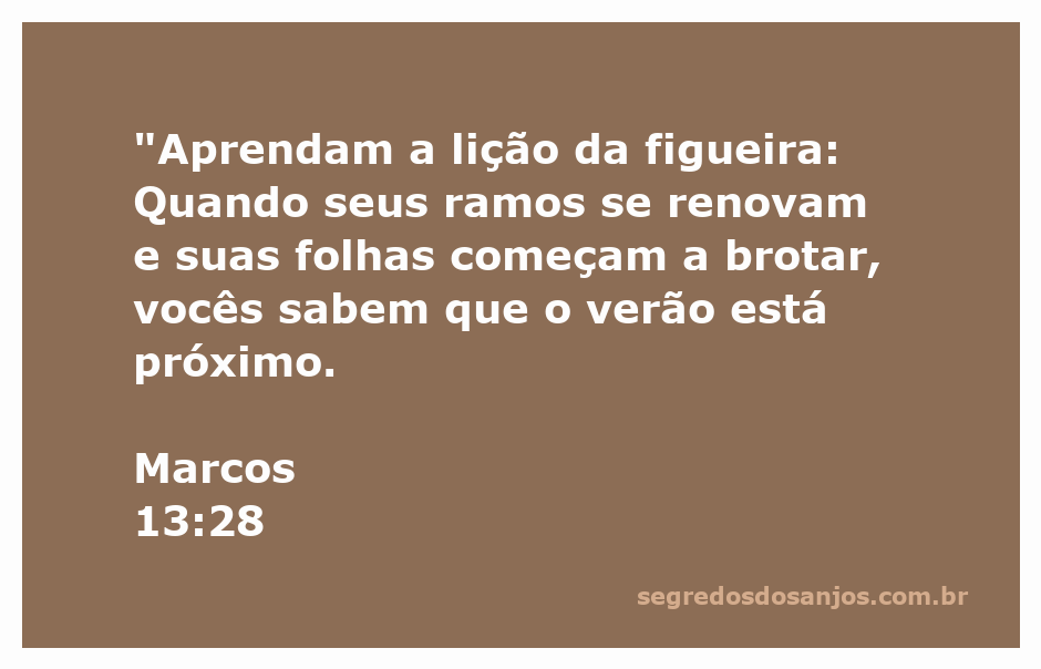 Ilustração da figueira com ramos renovados e folhas brotando, simbolizando a chegada do verão.