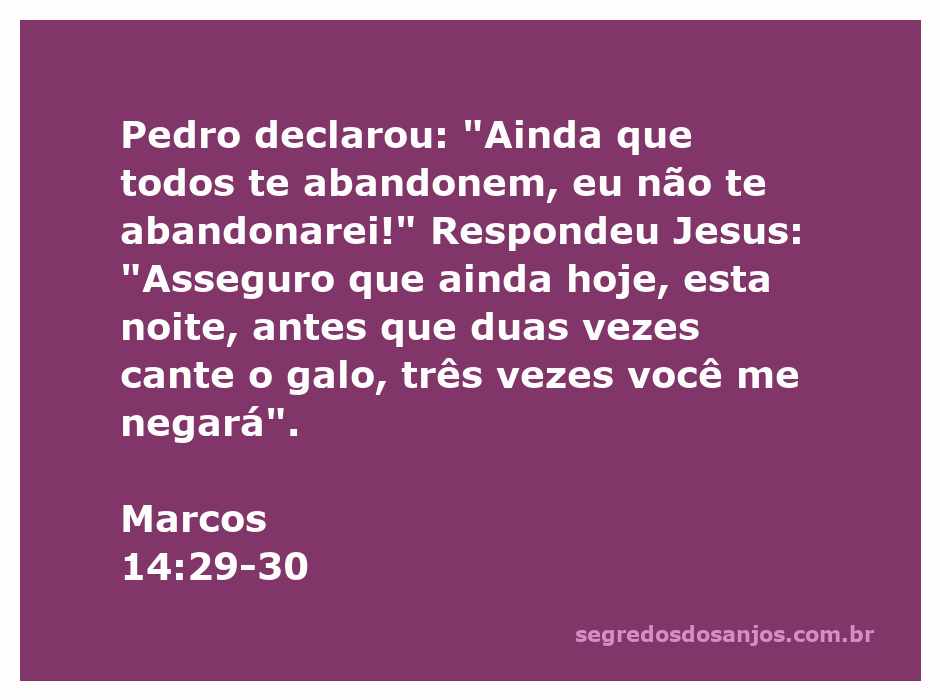 Pedro declara sua lealdade a Jesus, enquanto Jesus prevê a negação de Pedro.