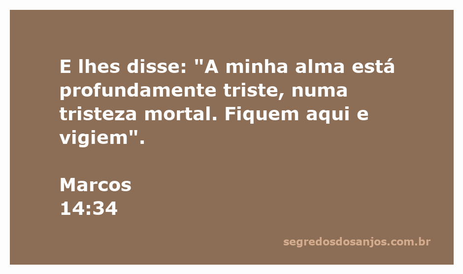 Jesus expressando sua tristeza no Jardim do Getsêmani, pedindo aos discípulos que vigiem.