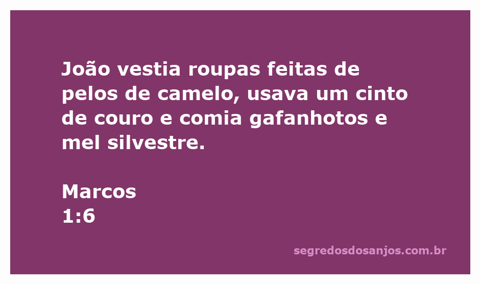 Imagem de João Batista vestido com peles de camelo, cinto de couro, comendo gafanhotos e mel silvestre.